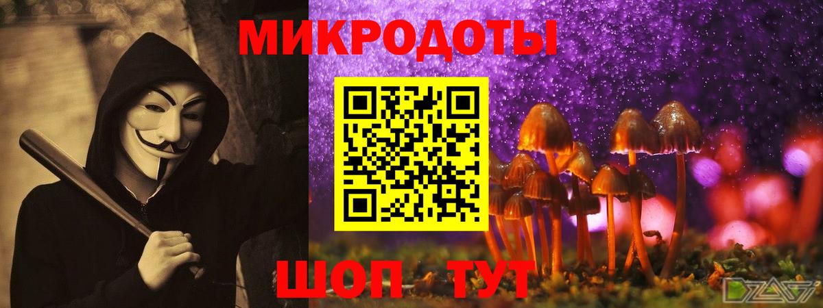 Менделеевск  Псилоцибиновые грибы мицелий  Галлюциногенные грибы Psilocybine cubensis  Вход с VPN 